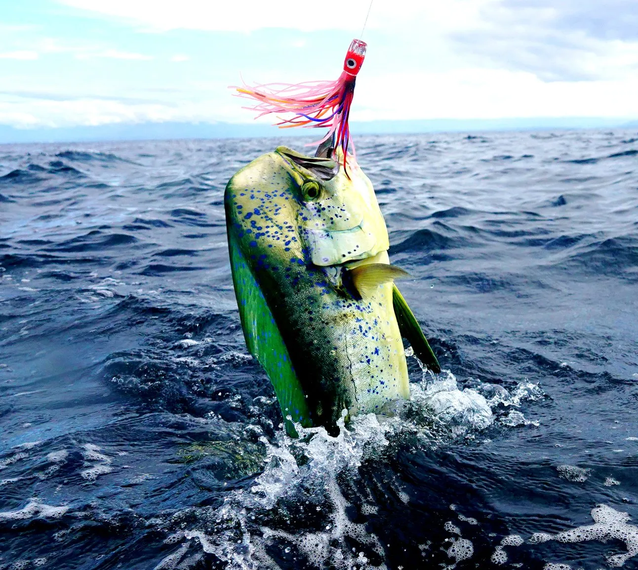 DEEP SEA FISHING IN CANCÚN